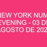 USA New York Numbers Evening – 03 de agosto de 2024