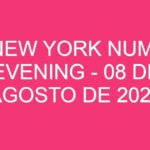 USA New York Numbers Evening – 08 de agosto de 2024