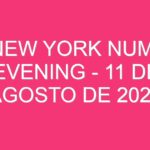 USA New York Numbers Evening – 11 de agosto de 2024